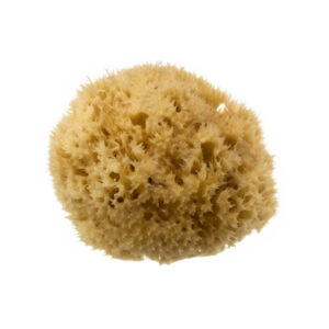 Hydrea London Natural Honeycomb Sea Sponge Size 4.4.5