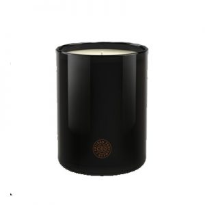 L'Artisan Parfumeur Amber Candle 250 g