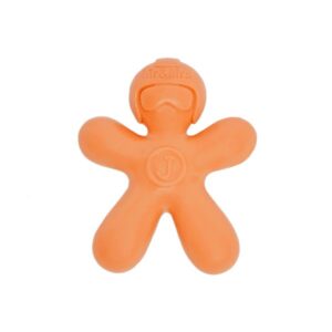 Mr&Mrs Fragrance Car Air freshener Big Joy - Orange Summer Fruits