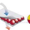 Hydrotemp Moist Heat Lower Back