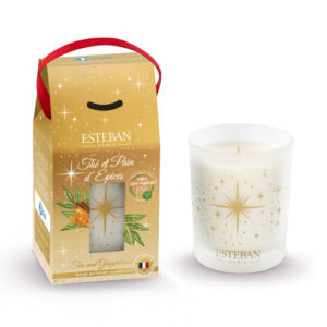 Esteban Paris Large Size Scented Candle Tea and Gingerbread 2024 450g