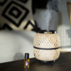 Esteban Paris Perfume Mist Diffuser Light & Bamboo Edition