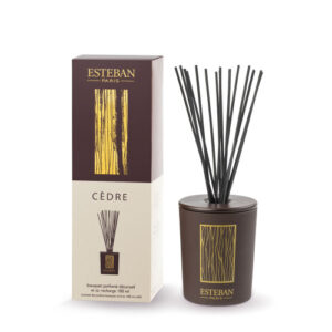 Esteban Paris Decorative Scented Bouquet - Cedar 100ml