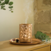 Esteban Paris Aroma Mist Diffuser Light & Copper Edition