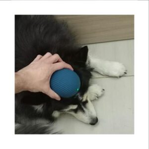 Paul's little moment of calmness